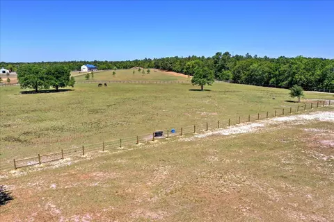 558 Pickett Post Rd, Windsor, SC 29856 photo 5
