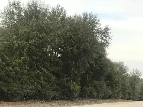 000 Thunder Rd, Olar, SC 29843