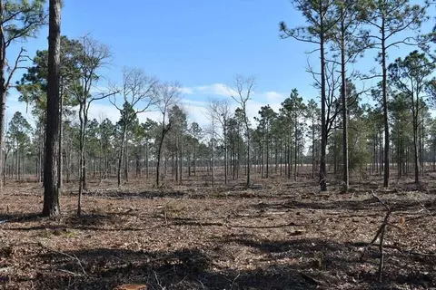 0 State Park Rd, Windsor, SC 29856