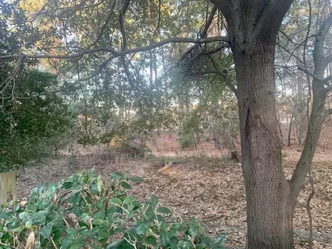 134 Christopher Downs Ct, Aiken, SC 29803 photo 26