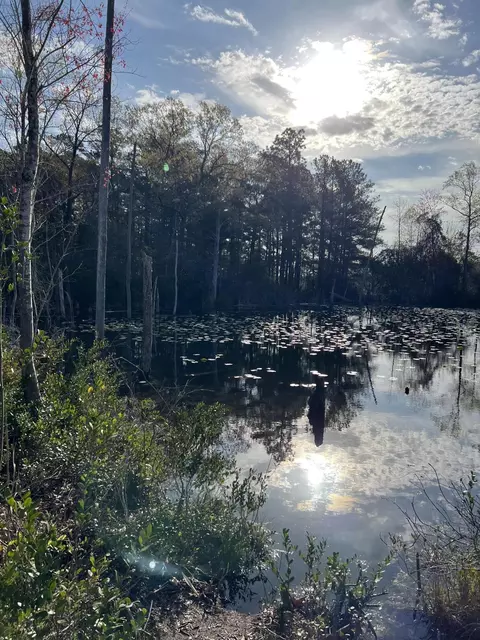 0 Peachtree, Gilbert, SC 29054