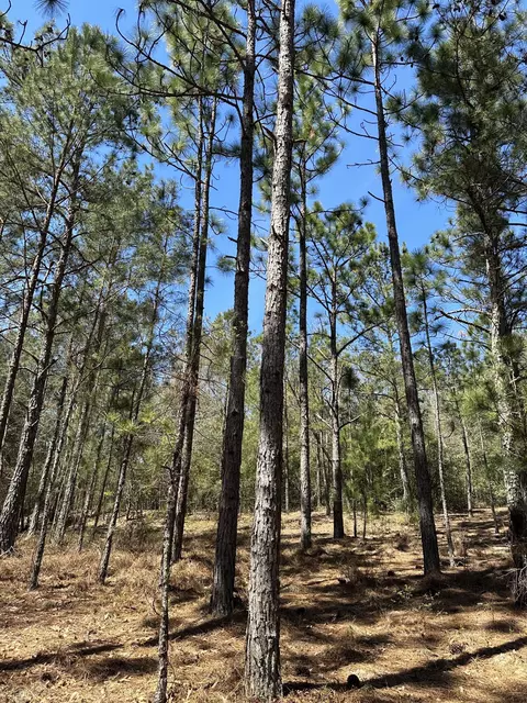 Lot 1 Horseshoe Bend, Aiken, SC 29801