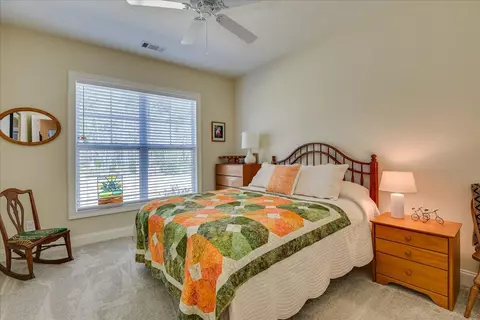 335 Whimbrel Loop, Aiken, SC 29803 photo 27