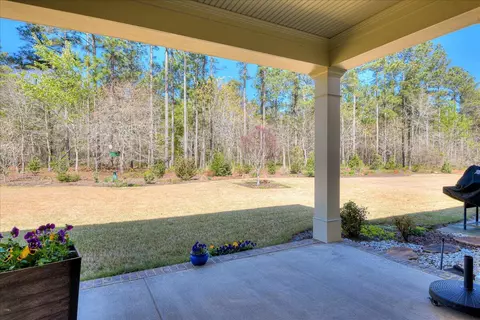 335 Whimbrel Loop, Aiken, SC 29803 photo 30