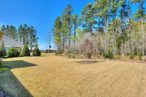 335 Whimbrel Loop, Aiken, SC 29803 photo 33
