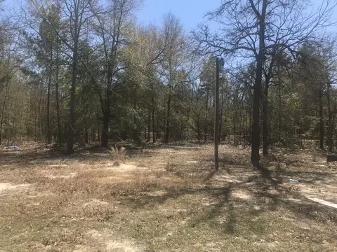 4878 Seven Pines Rd, Barnwell, SC 29812 photo 2