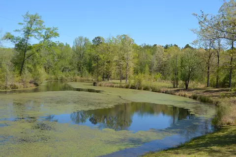 5508 Fairview Rd, Batesburg-leesville, SC 29006