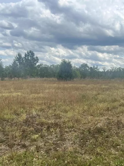 811 Shilly Rd, Denmark, SC 29042 photo 2