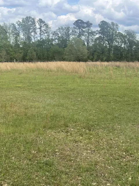 811 Shilly Rd, Denmark, SC 29042 photo 5