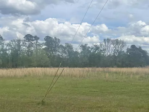 811 Shilly Rd, Denmark, SC 29042