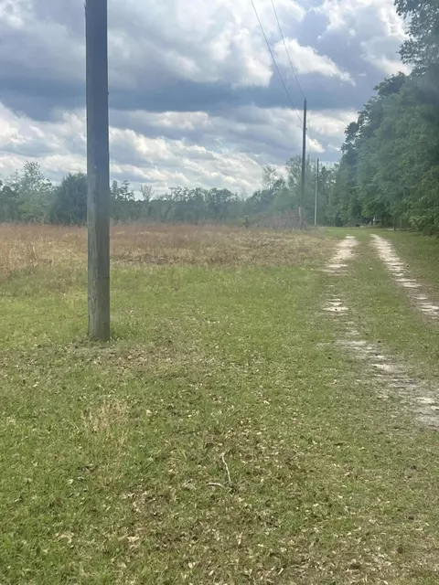 811 Shilly Rd, Denmark, SC 29042 photo 3