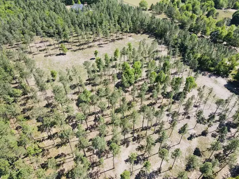 Lot 36 Storm Branch Leg, Aiken, SC 29803