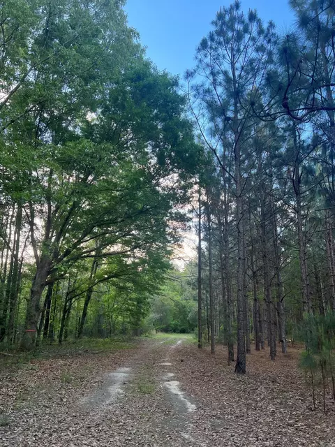 0 Wagener Rd #7, Wagener, SC 29164