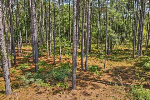 2051 Bertram Dr, Aiken, SC 29803 photo 48