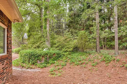 132 Willow Oak Loop, Aiken, SC 29803 photo 39