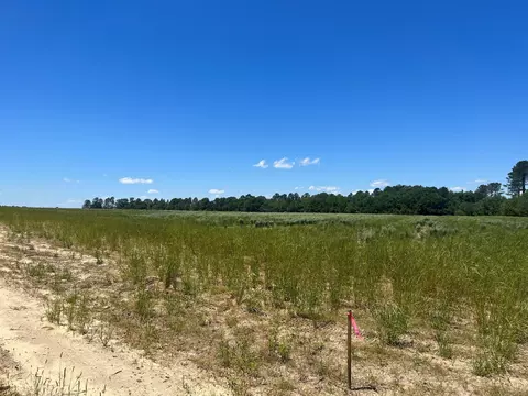 0 Rainbow Dr #C1, Wagener, SC 29164