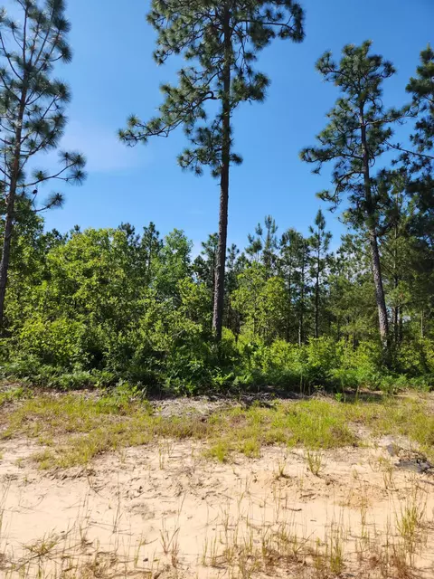 Lot 5 Papillon Loop, Aiken, SC 29803