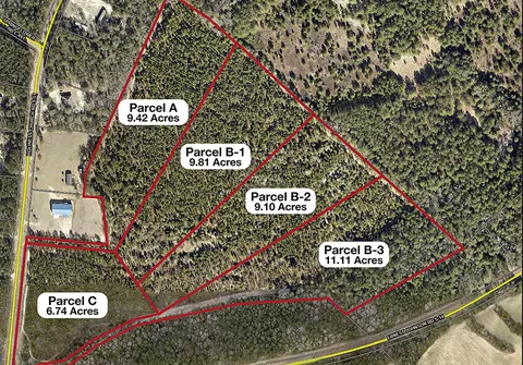 Tbd Holiness Church Rd Parcel C, Wagener, SC 29164