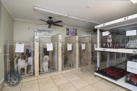 4481 Morningside Dr, Evans, GA 30809 photo 62