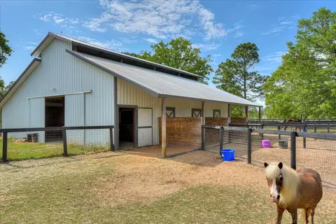 500 Loon Dr, Windsor, SC 29856 photo 76