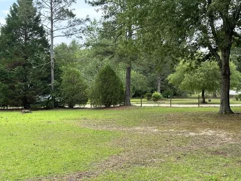 1354 Davis Bridge Rd, Williston, SC 29853 photo 6