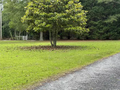 1354 Davis Bridge Rd, Williston, SC 29853 photo 8