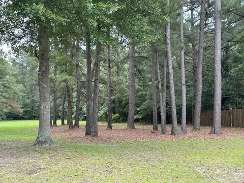 1354 Davis Bridge Rd, Williston, SC 29853 photo 10