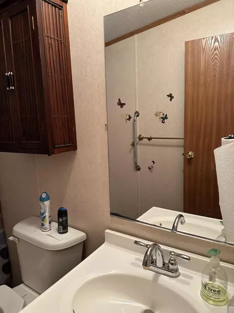 1354 Davis Bridge Rd, Williston, SC 29853 photo 37