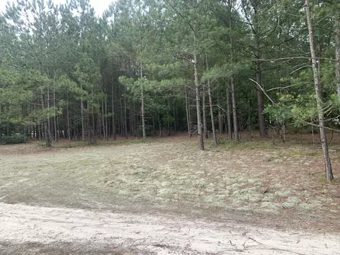B-1 Keys Pond Road, Ridge Spring, SC 29129