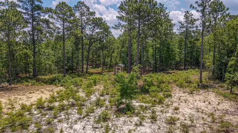 142 Ryan Rd, Windsor, SC 29856 photo 4