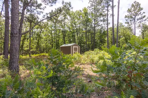 142 Ryan Rd, Windsor, SC 29856 photo 6