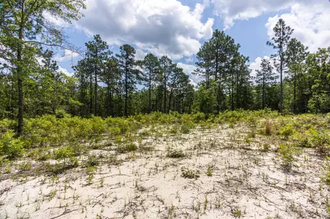 142 Ryan Rd, Windsor, SC 29856 photo 15
