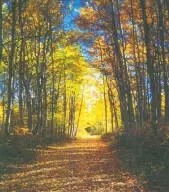 lot18 Misty River Trl, Windsor, SC 29856