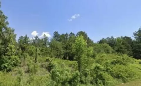 lot6 Tinker Creek Rd, Williston, SC 29853