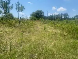 0 Old Graniteville Hwy, Vaucluse, SC 29850
