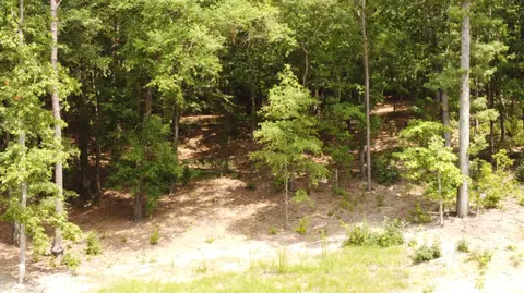 lot11 River Birch Rd, Aiken, SC 29803