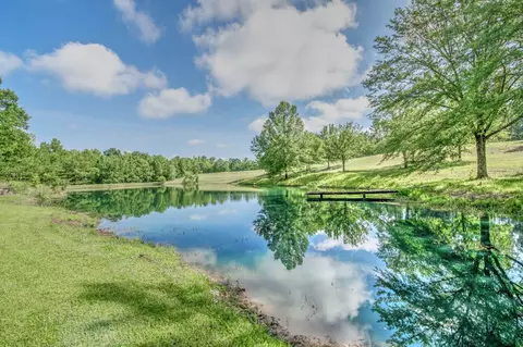 688 Lanham Rd, Edgefield, SC 29824 photo 34