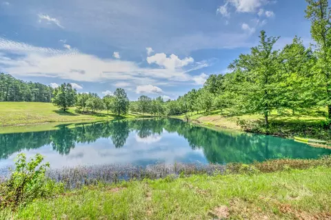 688 Lanham Rd, Edgefield, SC 29824 photo 35