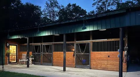 555 Cumbee Trail Rd, Ridge Spring, SC 29129 photo 2
