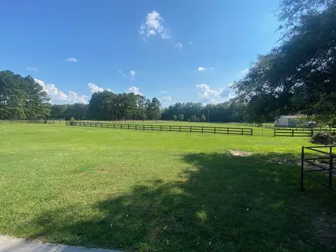 555 Cumbee Trail Rd, Ridge Spring, SC 29129 photo 17