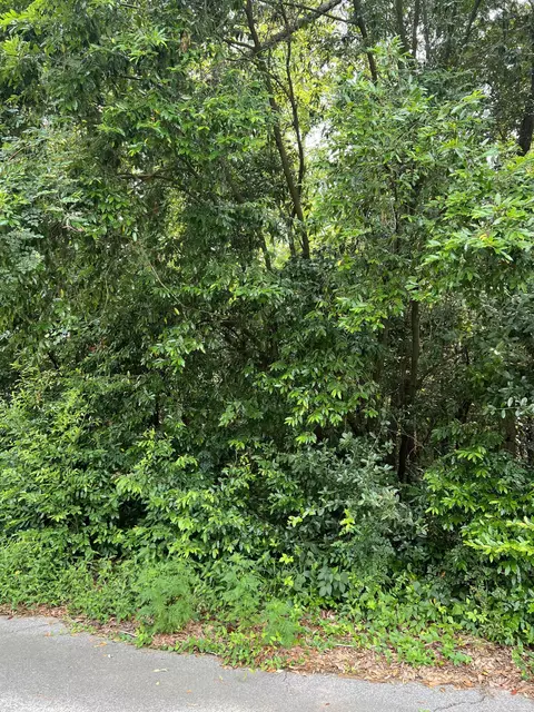 lot13 15 5th St Ext, Jackson, SC 29831