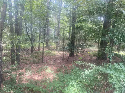 1444 Pine Log Rd, Aiken, SC 29801 photo 2