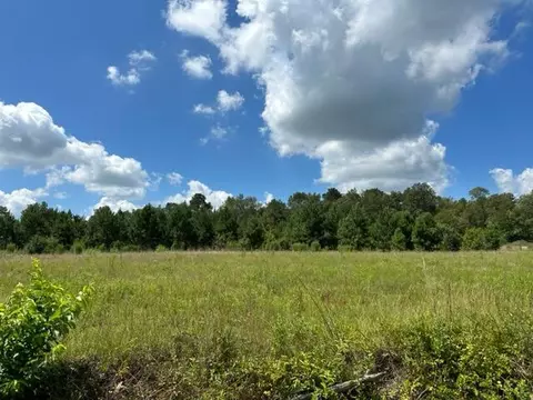 tbd Ninety Six Rd, Neeses, SC 29107