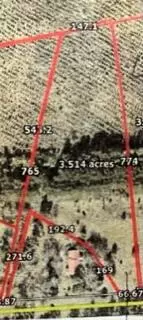 Tract 3.5 White Pond Road, Williston, SC 29853