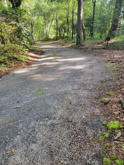 261 Aiken Rd, Wagener, SC 29164