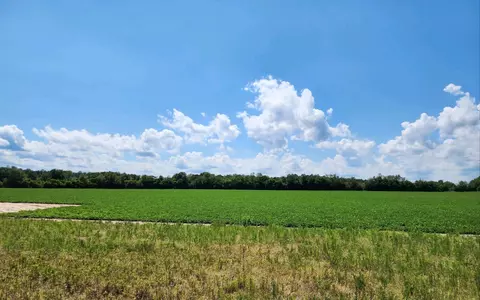 5091 Charleston Hwy, Williston, SC 29853