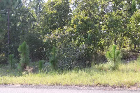 tbd Saddlebrook Trl, Graniteville, SC 29829