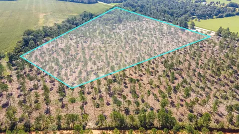 Camp Rawls Road, Wagener, SC 29164