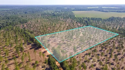 Bluffwood Road, Wagener, SC 29164