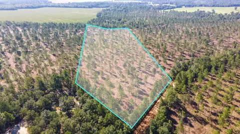 Bluffwood Road, Wagener, SC 29164